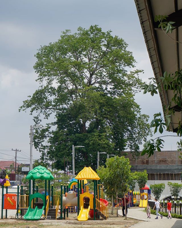 Restoran Kembang - Kuliner Nusantara di Pintu Masuk Kota Medan (#4)